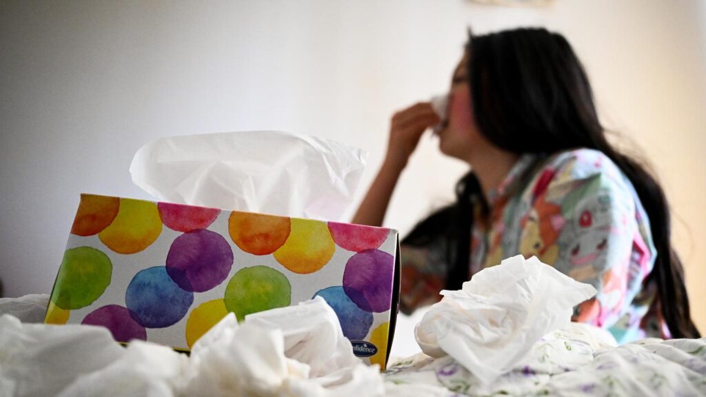 Some 410,000 cases of influenza have been reported so far this year – up from 365,000 in 2024.