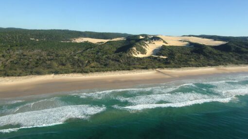 FRASER ISLAND STOCK