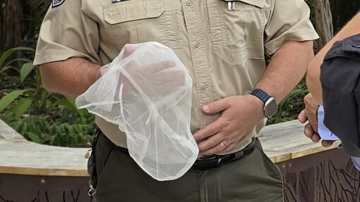 Call to end spit hood use after female prisoner's death SPIT HOOD USE NORTHERN TERRITORY