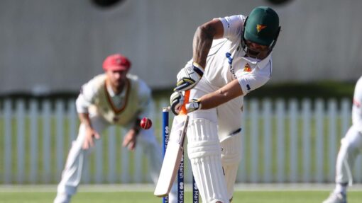 CRICKET SHIELD SA TAS