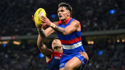 AFL BULLDOGS DEMONS