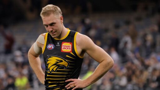 AFL EAGLES CATS