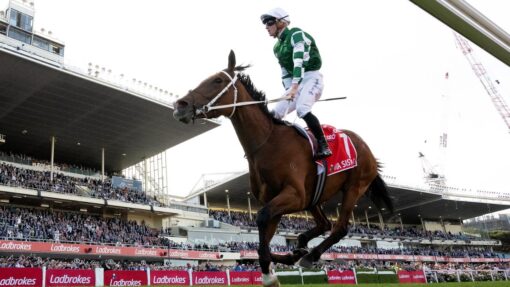 RACING COX PLATE