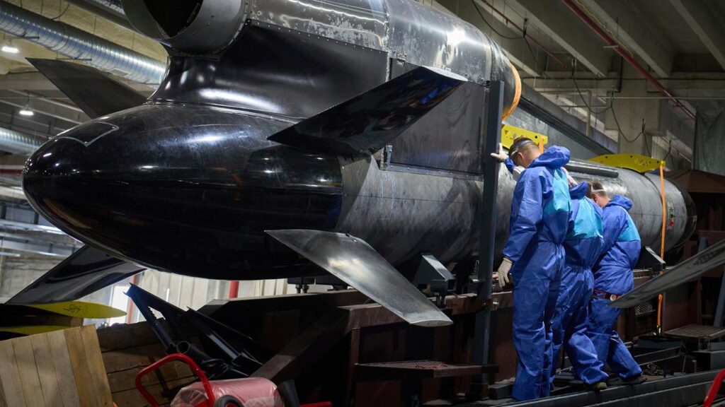 Ukraine has recently fired its new Flamingo cruise missiles at Russia, Volodymyr Zelenskiy says.