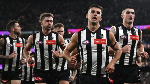 AFL MAGPIES LIONS