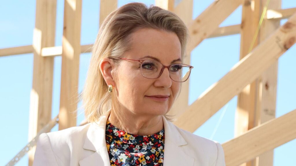 Sussan Ley faces a tough task winning back moderate voters while keeping conservative MPs happy.
