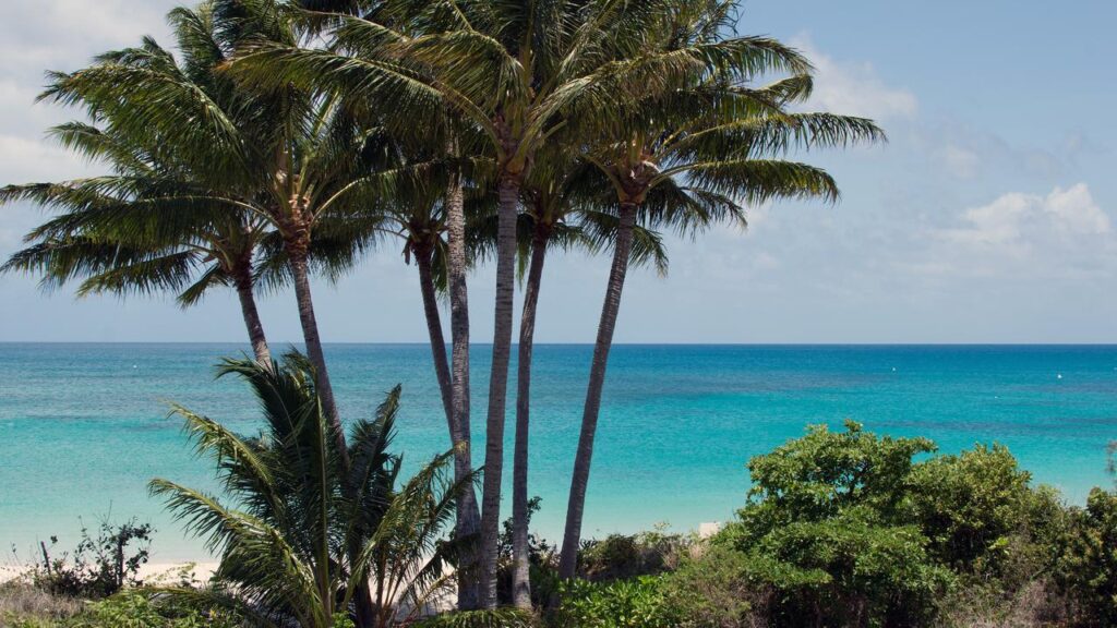 Suzanne Rees’ family is demanding answers after the 80-year-old’s body was found on Lizard Island.
