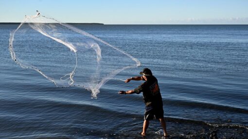 Heatwaves, climate extremes 'normal' for oceans by 2040 CAIRNS STOCK