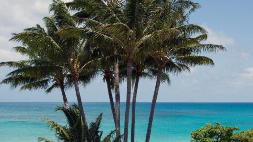 Ship set to return after elderly woman dies on cruise TRAVEL QUEENSLAND LIZARD ISLAND