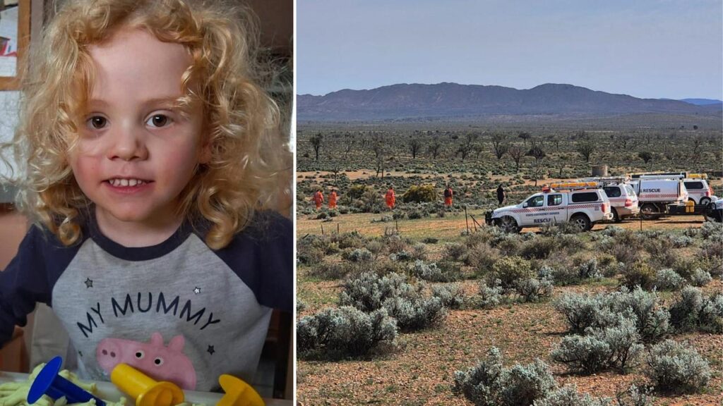 Another intensive search has failed to find Gus Lamont, who has been missing since September.

