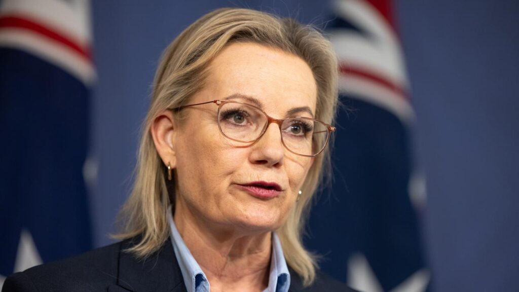 Fellow moderates Liberal MPs believe Sussan Ley’s leadership of the party is safe.
