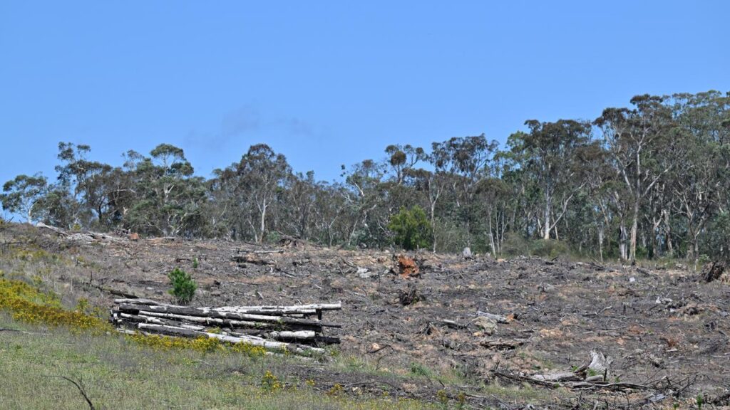 The government has p[promised tougher native logging rules to get environment laws passed.
