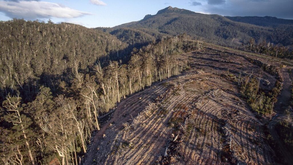 Tasmania’s native forestry industry will no longer be exempt from national environment standards.
