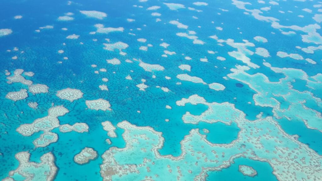 Large scale clearing of native vegetation is threatening the survival of the Great Barrier Reef.
