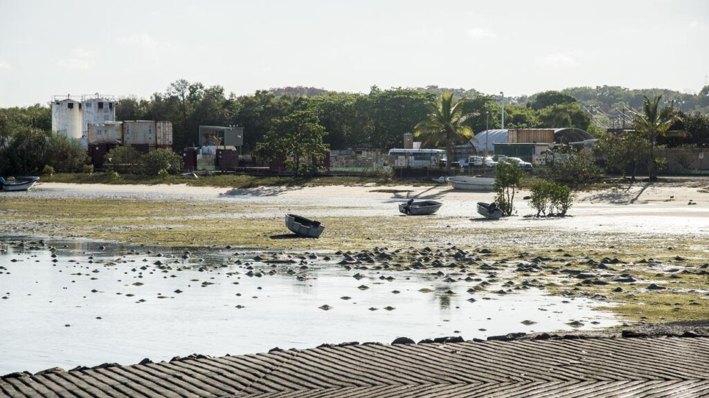 A surge in the gold price has prompted a rethink of one explorer’s vision to mine on Horn Island.
