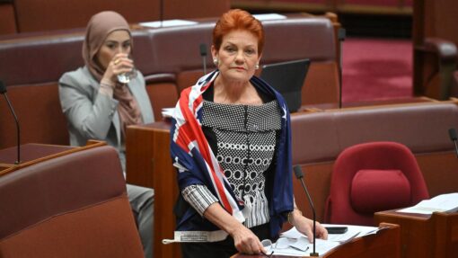 Pauline Hanson's post-apocalyptic prediction resurfaces PAULINE HANSON FLAG SENATE