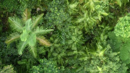 'It's disastrous': state scathing of nature reforms NORTH QUEENSLAND STOCK