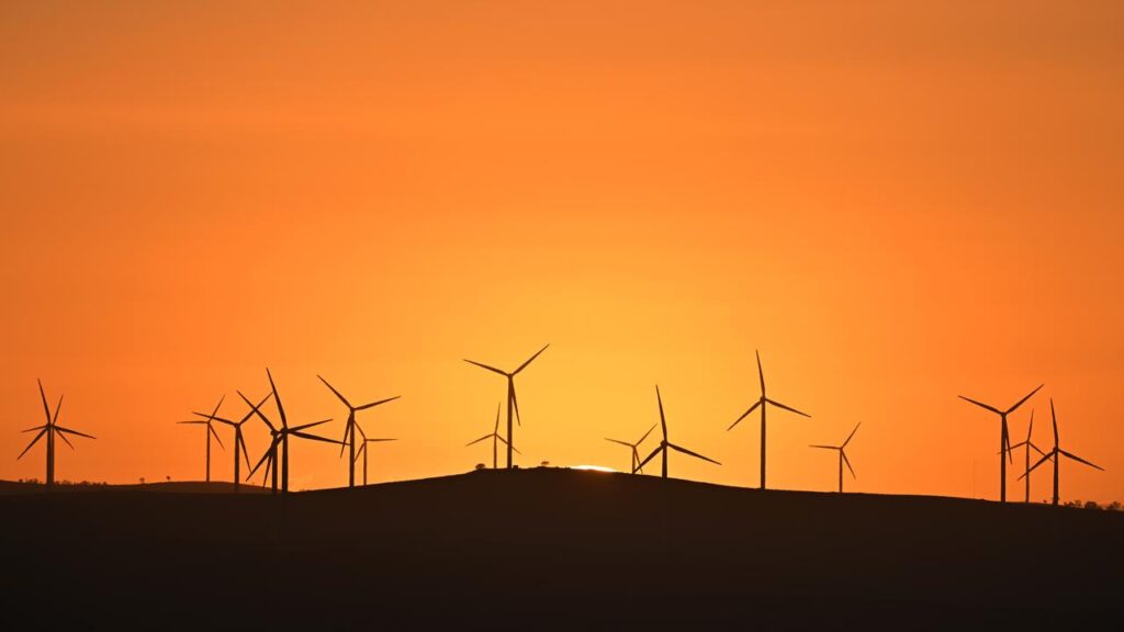 Australia needs about 29 gigawatts of large-scale renewable generation by 2030, an expert says.
