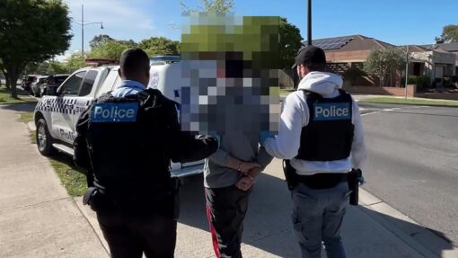 LUNA PARK MACHETE BRAWL ARRESTS