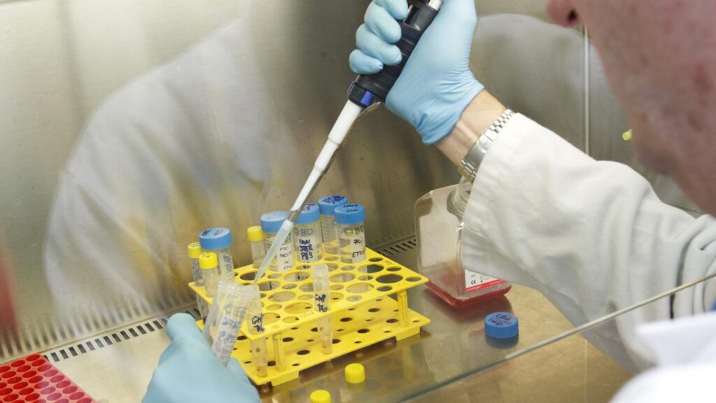 Nasdaq-listed stock of Kazia Therapeutics surged after it announced a successful cancer treatment.
