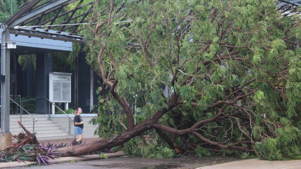 Tropical cyclone Fina passed between the Tiwi Islands and Darwin, packing destructive winds.
