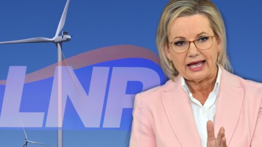 Warning for Liberals on net zero as axing calls grow SUSSAN LEY NET ZERO