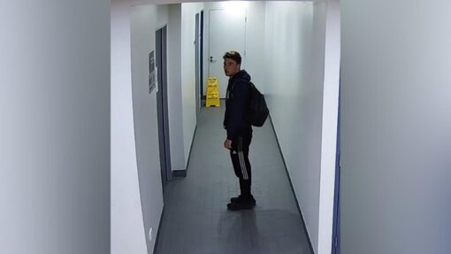 Stalking mistaken as affection before brutal murder LILIE JAMES DEATH INQUEST