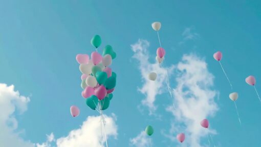 War on waste: more single-use plastics banished NSW PLASTIC BAN