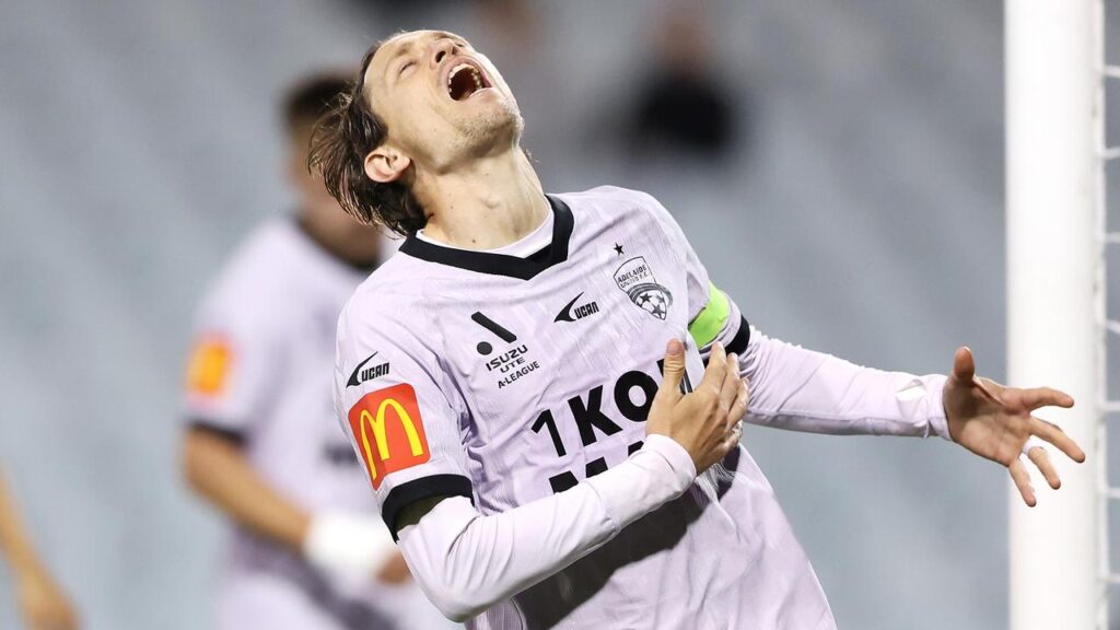 Adelaide United star Craig Goodwin had a frustrating day at the office in a 2-1 loss to Wellington.
