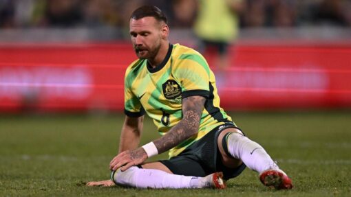 Socceroos striker suffers injury in Hibs' home win SOCCER AUSTRALIA NEW ZEALAND