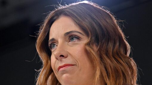 'Pub test': minister under fire over new flight details ANIKA WELLS PRESS CLUB