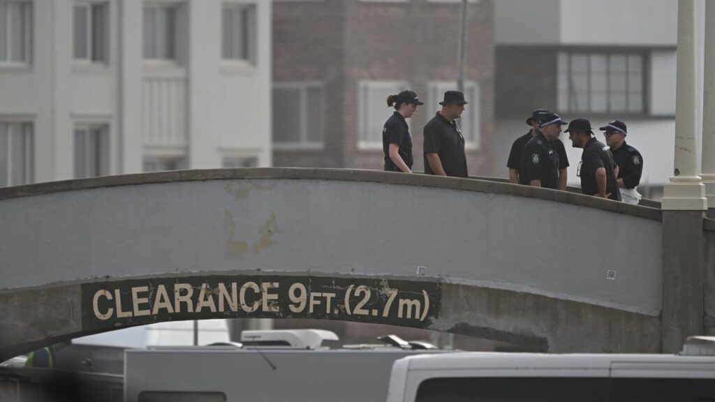 The alleged Bondi terror plot by IS-inspired shooters was “entirely predictable”, experts say.
