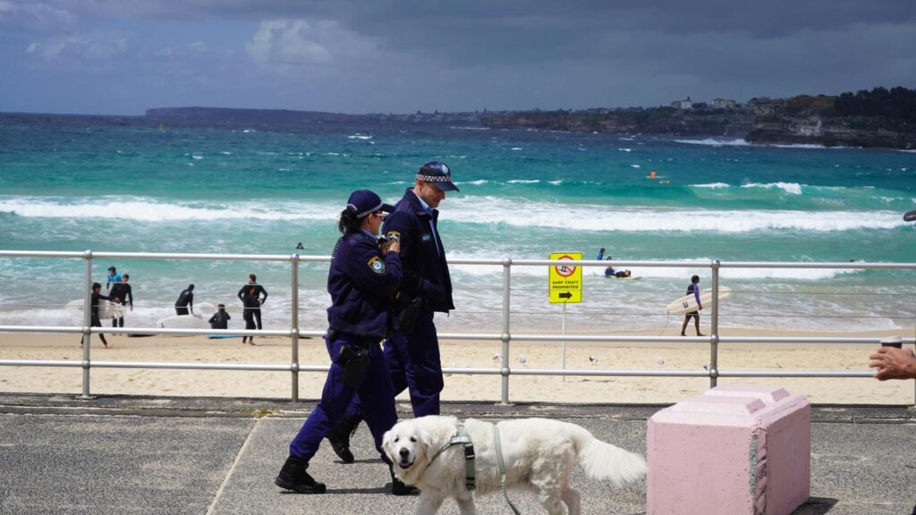 New Year’s Eve revellers in Sydney can expect to see a heavy police presence after the Bondi attack.

