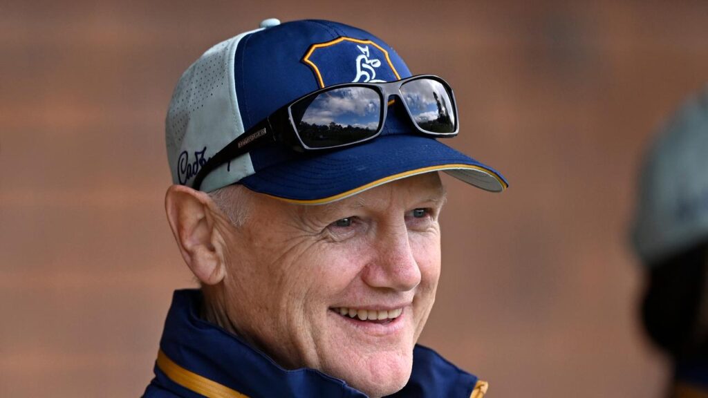 Joe Schmidt could well be a man in huge demand when the World Cup is held in Australia.
