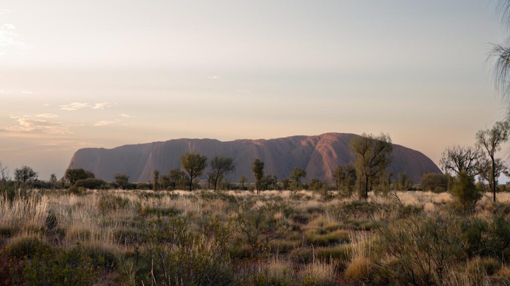 The Ayers Rock Resort is the sole accommodation option for tourists visiting Uluru.
