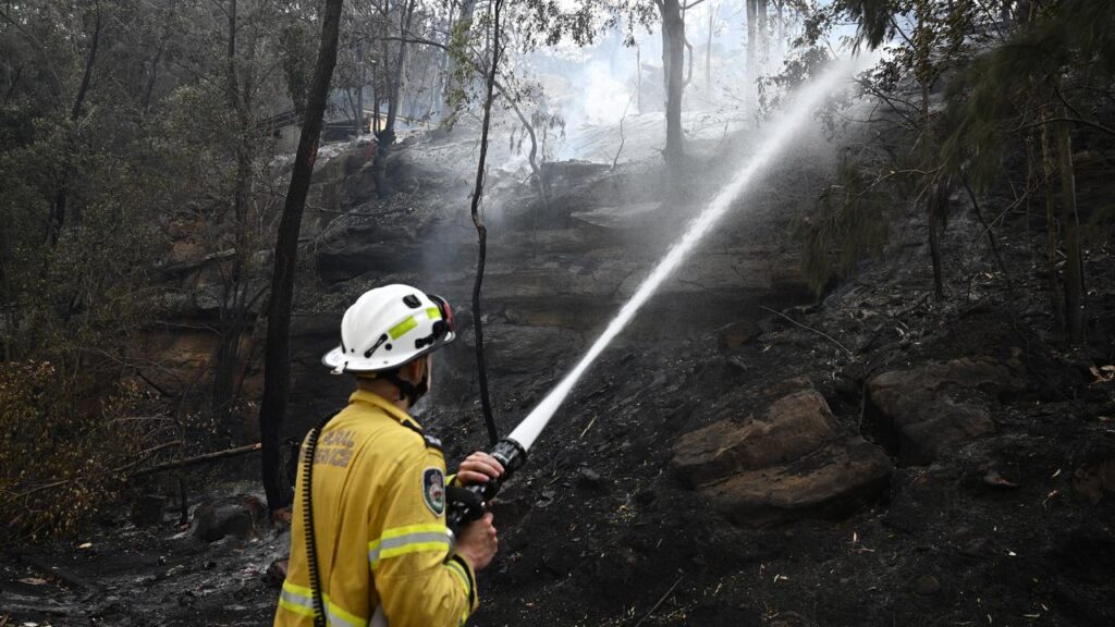 Fire crews in NSW continued to battle a spate of bushfires on Sunday.
