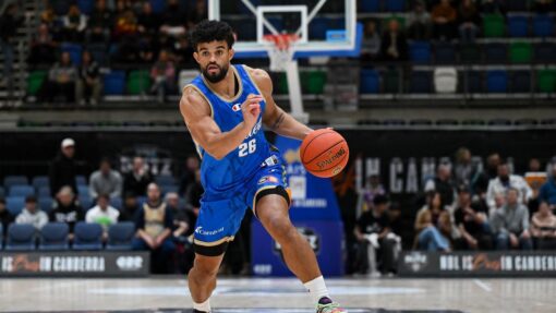 McDonald wants Bullets gig