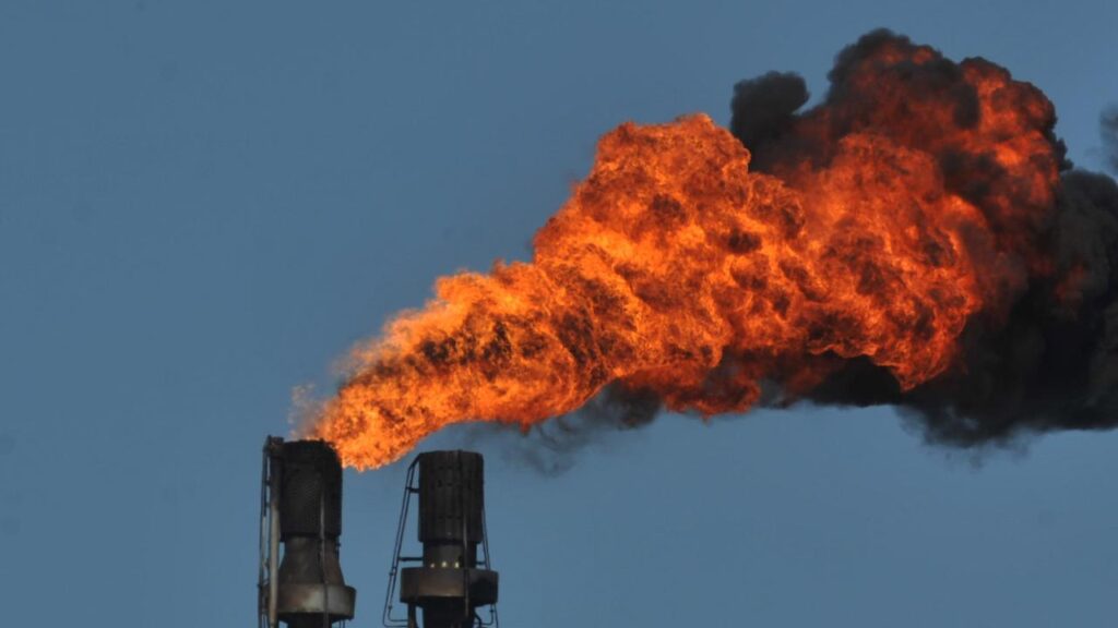 Financial ties between fossil fuel companies and educational institutions are igniting concern.
