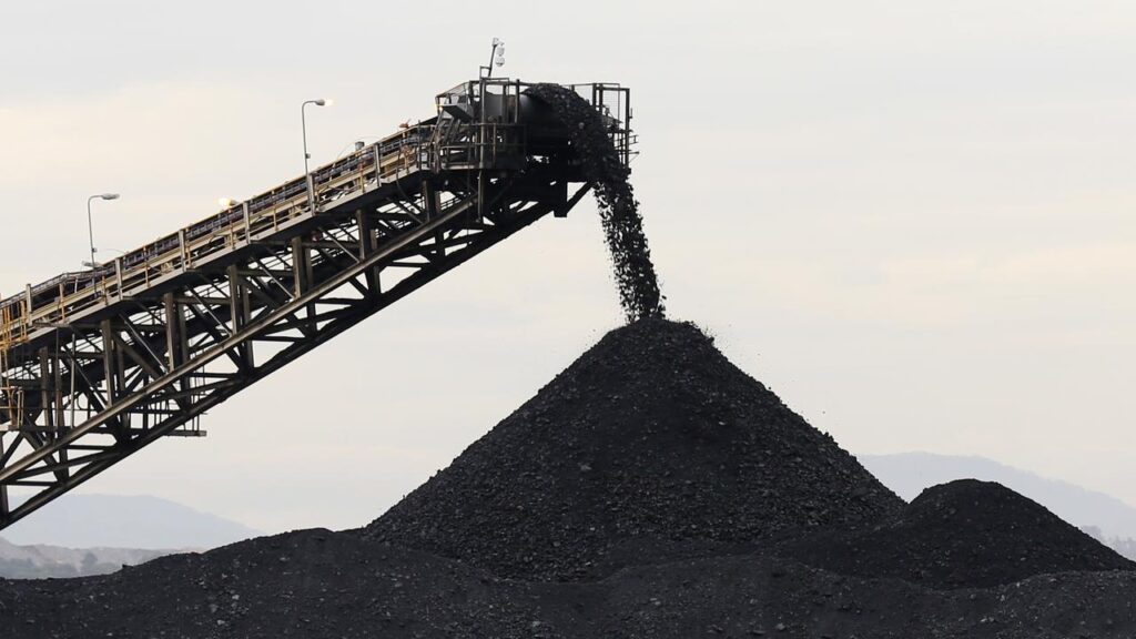 Thermal coal exports could plummet by nearly 80 per cent in a decade compared with 2024 levels.
