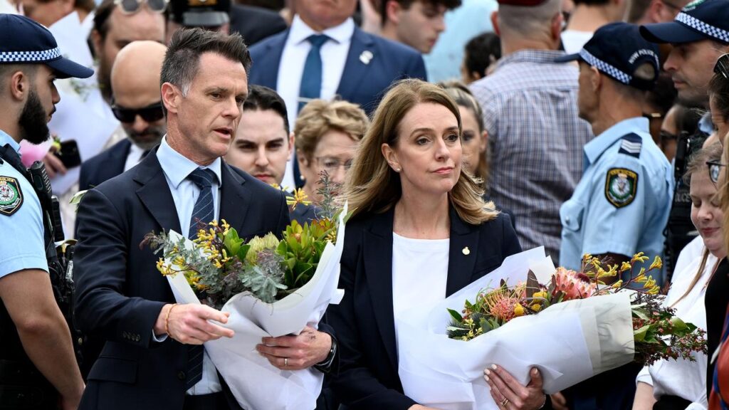 Premier Chris Minns and Opposition Leader Kellie Sloane joined forces to get the legislation passed.
