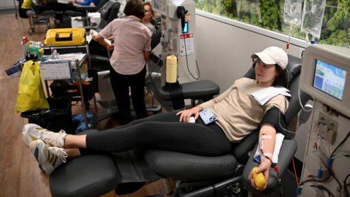 Day of reflection to honour Bondi massacre victims BLOOD DONATIONS LIFEBLOOD