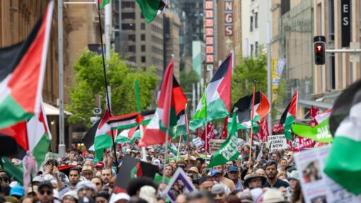 PRO PALESTINE PROTEST