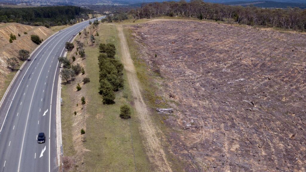 Land clearing has long been identified as a major threat to nature and biodiversity.
