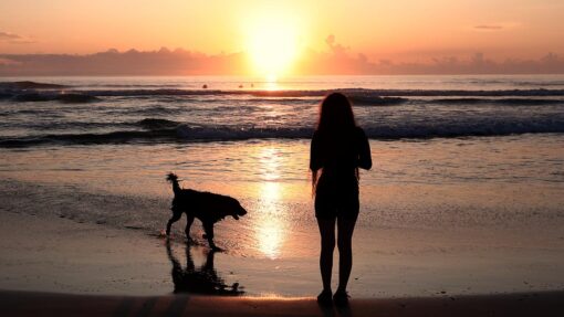 From footy to fatigue: battle to live full life with MS DAILY LIFE NSW