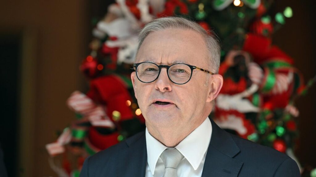 Anthony Albanese says the Bondi attack means “Christmas will feel different this year”.
