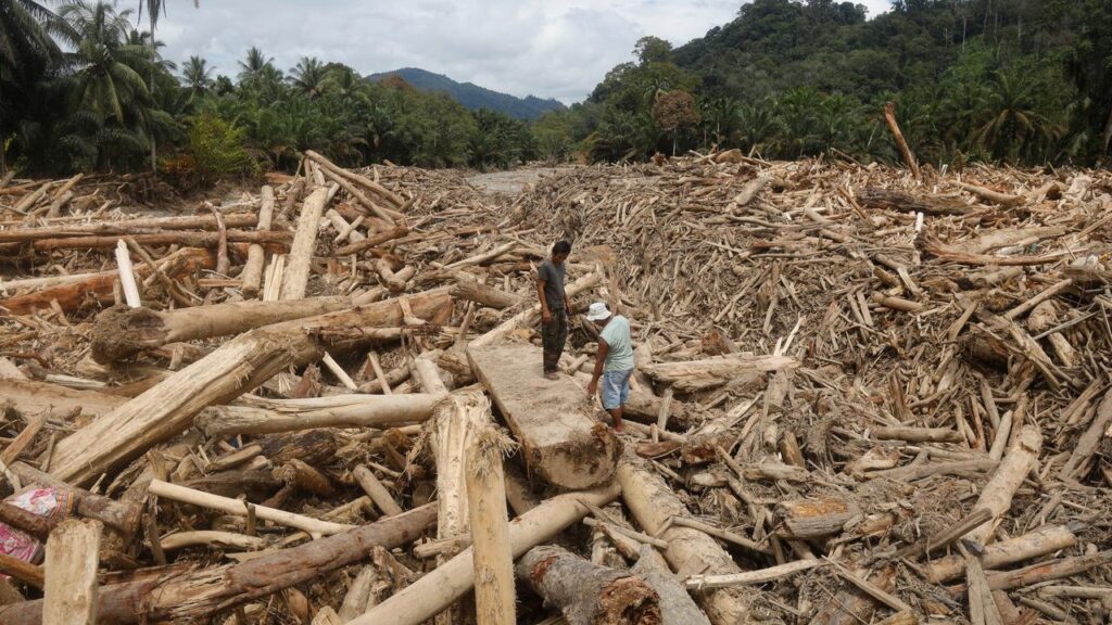 Rivers in Batang Toru were swollen with timber, fuelling concerns in Indonesia about deforestation.
