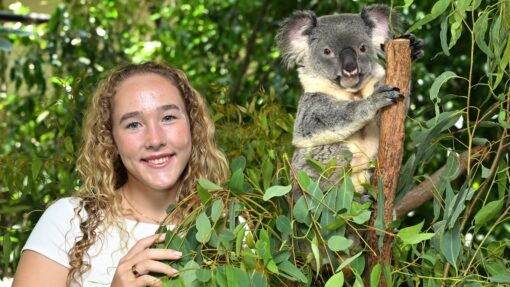Teen whiz Andreeva ready to resume Sabalenka rivalry TENNIS ANDREEVA KOALA SANCTUARY