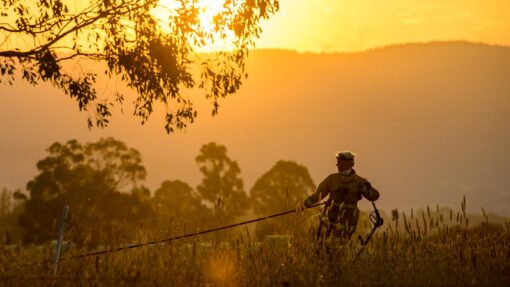 Climate change made heatwave five times more likely VICTORIA BUSHFIRES