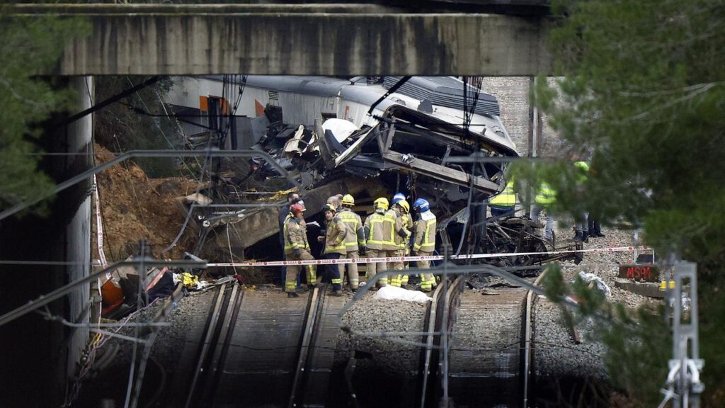 Spanish firefighters have rescued a dog missing since a train accident that killed 43 people.
