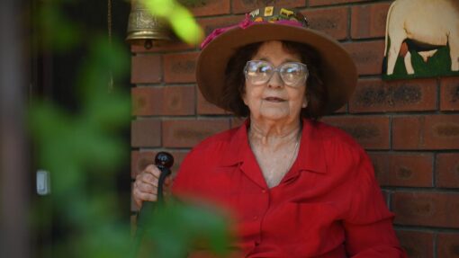 Cattle pioneer says the gentle giants saved her life HONOURS KATHY LOVELOCK